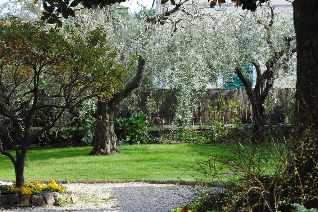 Casa Simonetti Bed & Breakfast Torre del Lago Puccini Luaran gambar